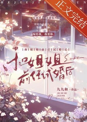 和姐姐前任试婚后封面