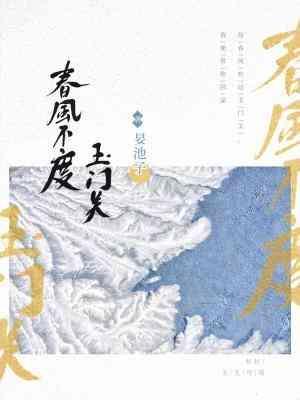 春风不度玉门关封面