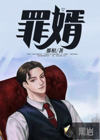 罪婿封面