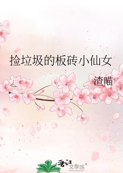 捡垃圾的板砖小仙女封面