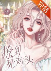 撩到死对头封面
