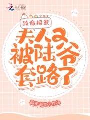 致命招惹：夫人又被陆爷套路了封面