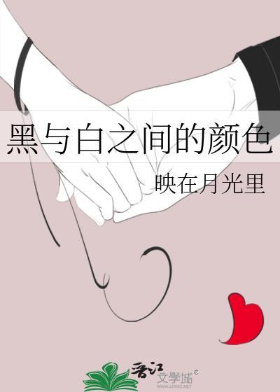 黑与白之间的颜色封面