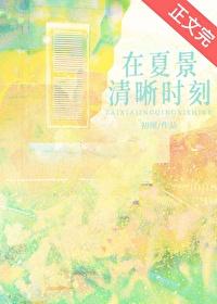 在夏景清晰时刻封面