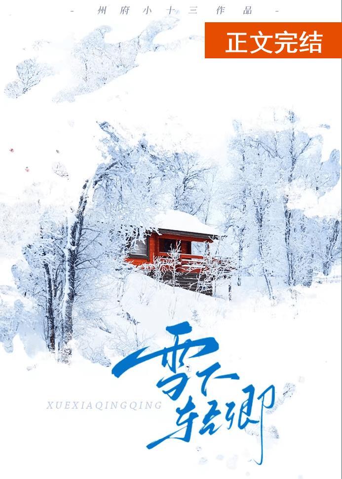 轻轻雪下封面