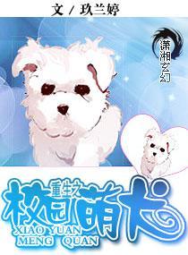 重生之校园萌犬封面