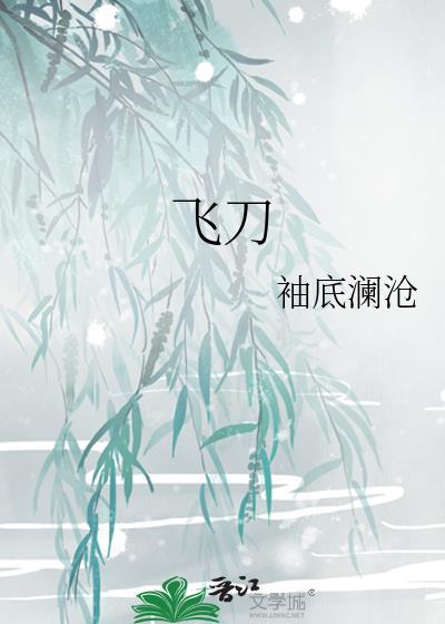 飞刀封面