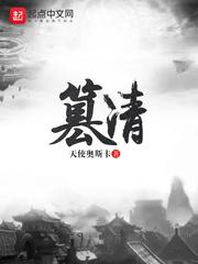 篡清封面