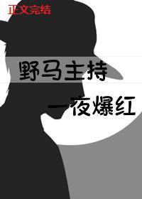 野马主持，一夜爆红[娱乐圈]封面