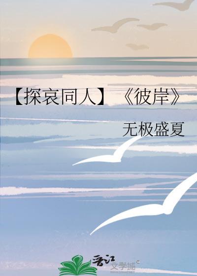 【探哀同人】《彼岸》封面