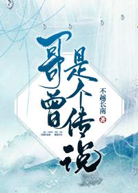 哥曾是个传说封面