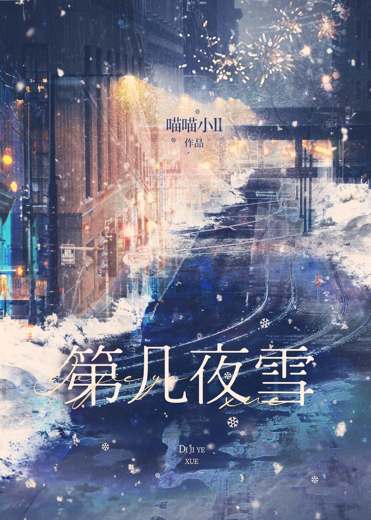 第几夜雪封面