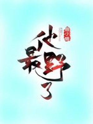 他最野了封面