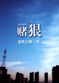 赌狠封面