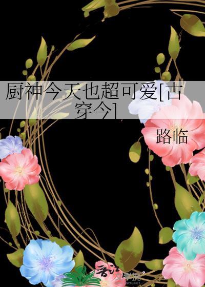 厨神今天也超可爱[古穿今]封面