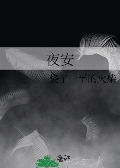 夜安封面