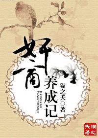 奸商养成记封面