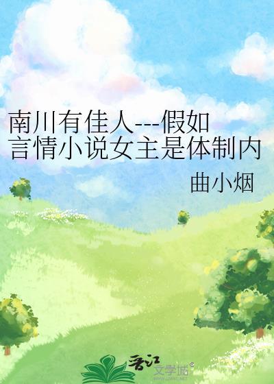 南川有佳人---假如言情小说女主是体制内封面