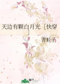 天边有颗白月光［快穿］封面