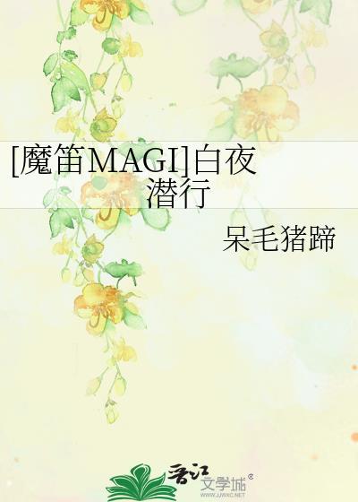 [魔笛MAGI]白夜潜行封面