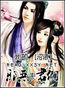 我的邪恶夫君们封面