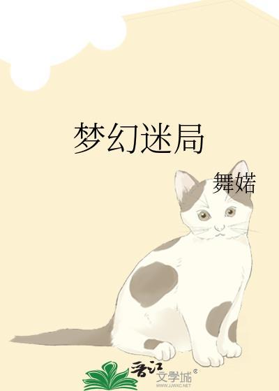 梦幻迷局封面