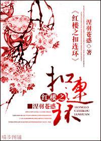 红楼之扣连环封面