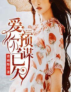 爱你，预谋已久封面
