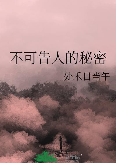 不可告人的秘密封面