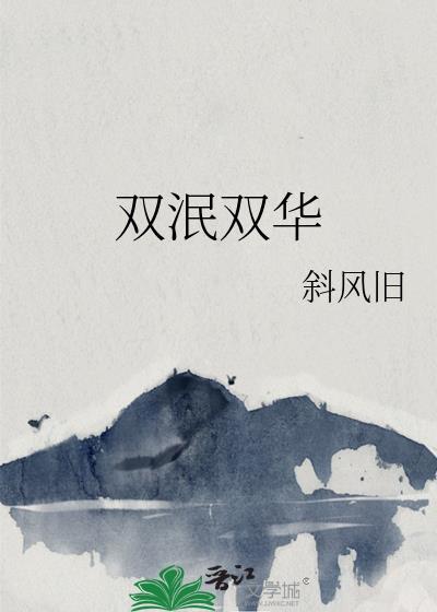 双泯双华封面