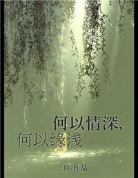 何以情深，何以缘浅封面