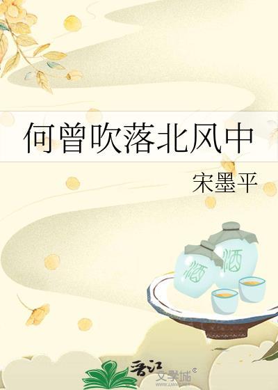 何曾吹落北风中封面