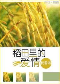 稻田裏的爱情封面