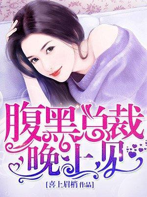 腹黑总裁晚上见封面