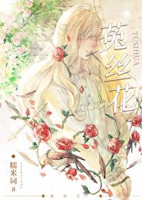 菟丝花封面