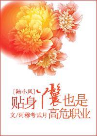 贴身丫鬟也是高危职业封面