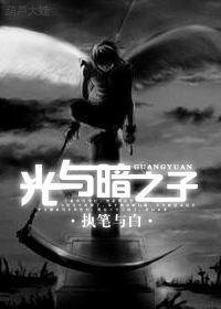 光与暗之子封面