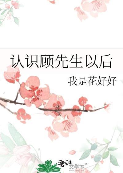 认识顾先生以后封面