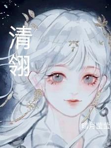 翎清封面