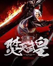 焚天武皇封面