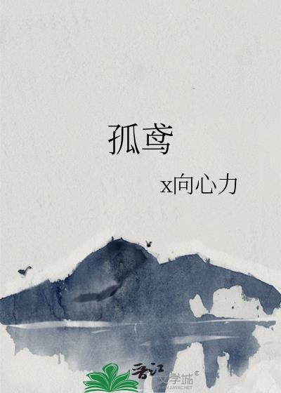 孤鸢封面
