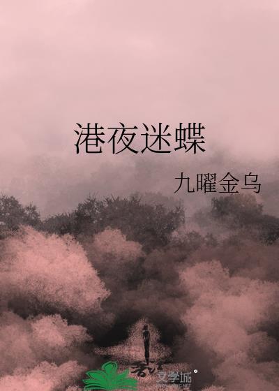 港夜迷蝶封面