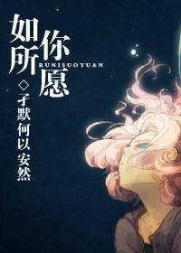 如你所愿封面