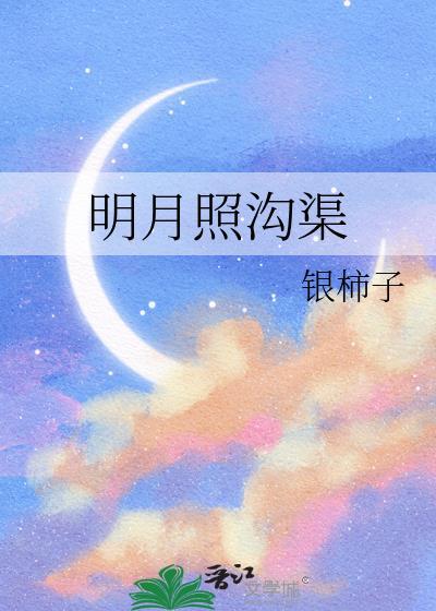 明月照沟渠封面