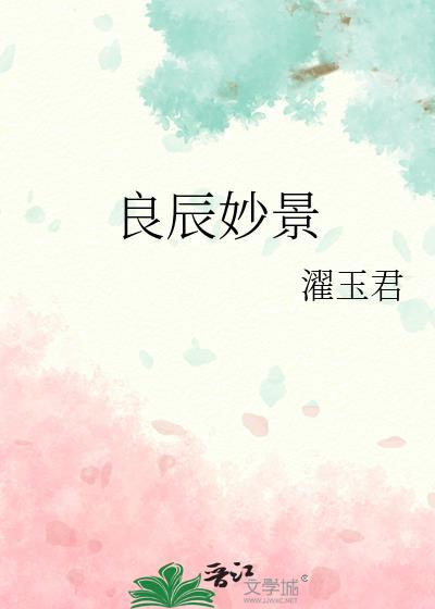 良辰妙景封面
