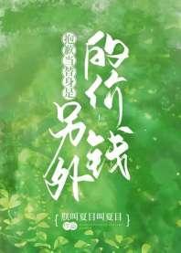 抱歉,当替身是另外的价钱封面