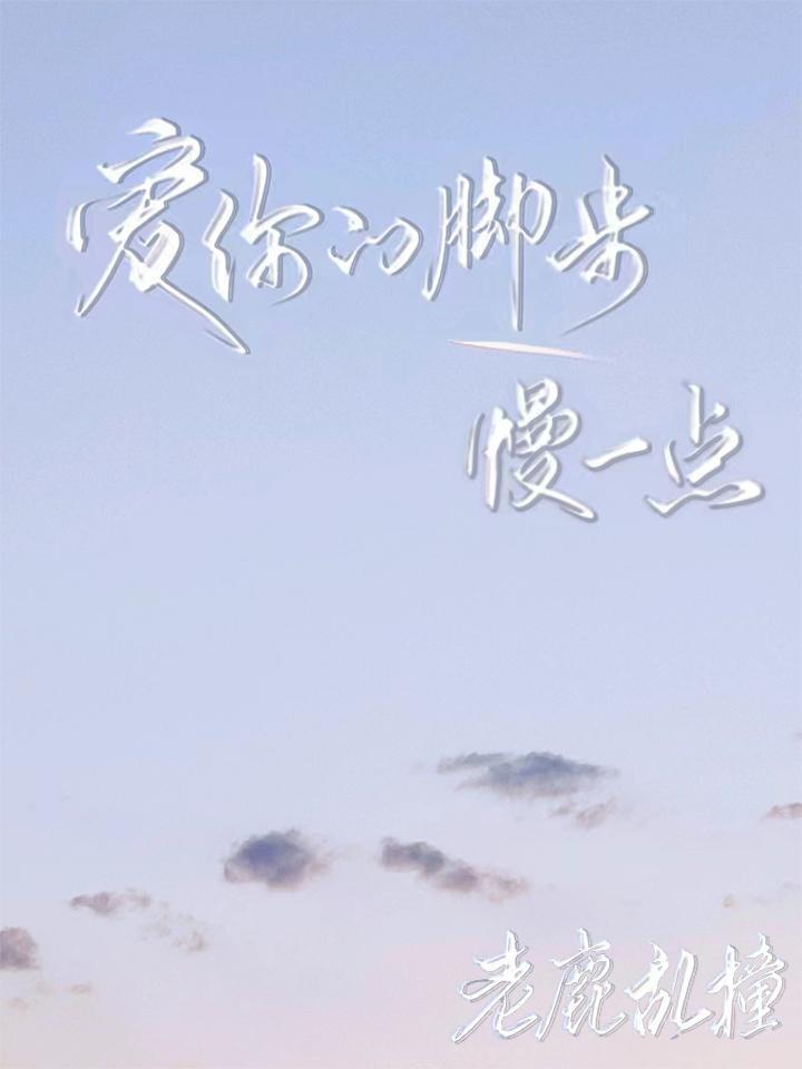 爱你的脚步慢一点封面