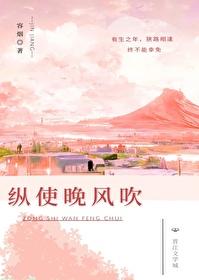 纵使晚风吹封面