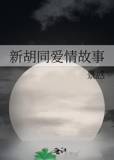 新胡同爱情故事封面
