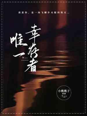 唯一幸存者封面